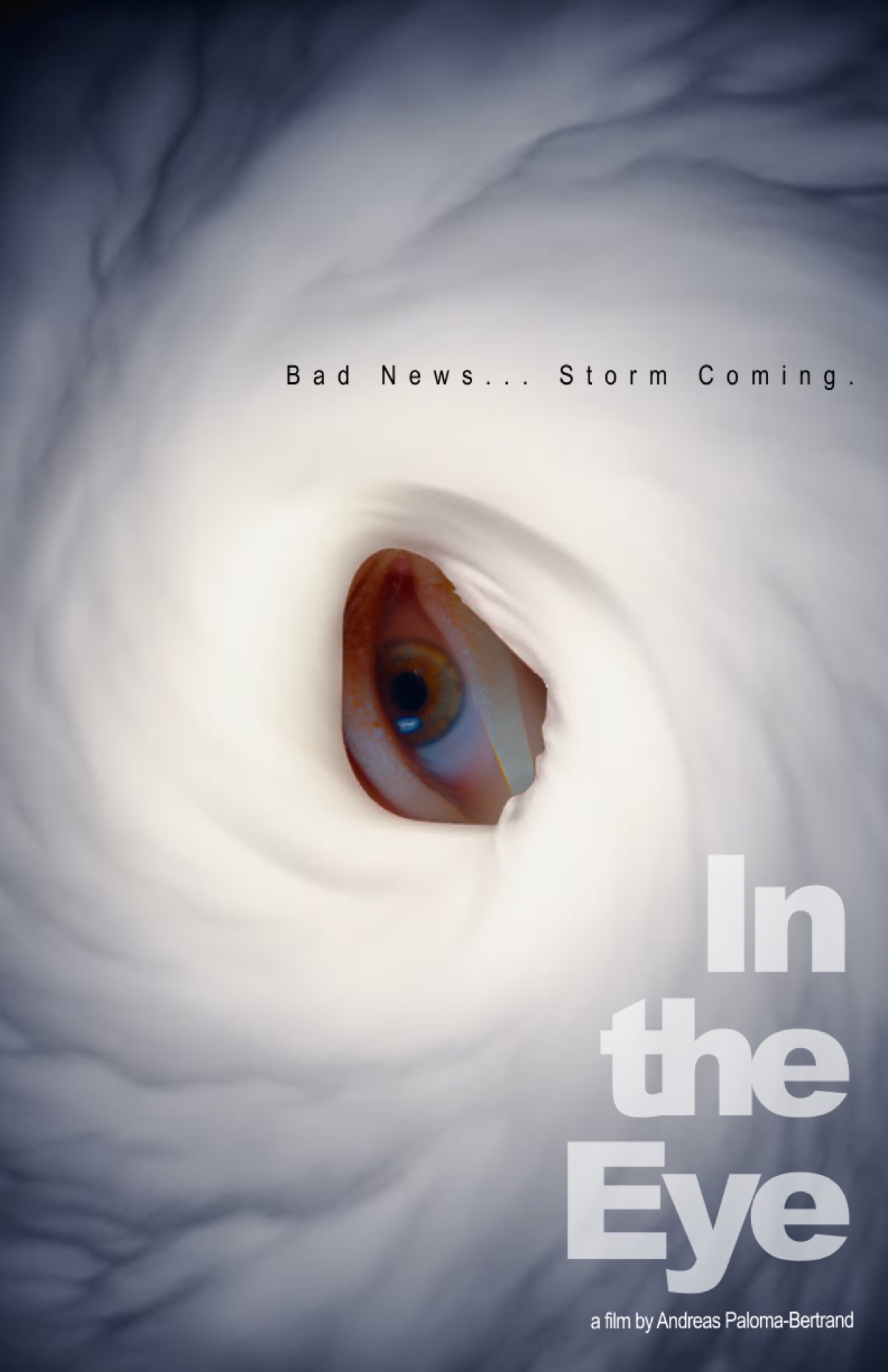 IN THE EYE poster — an eye at the center of a storm